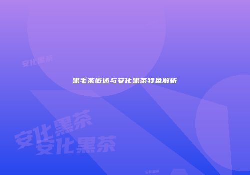 黑毛茶概述与安化黑茶特色解析