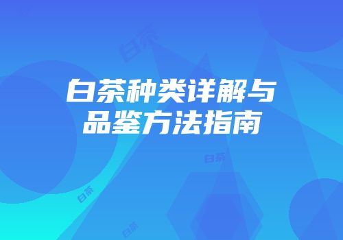 白茶种类详解与品鉴方法指南