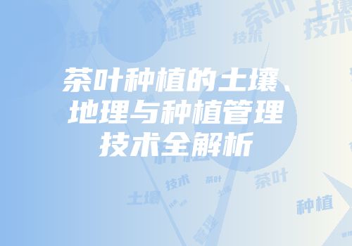 茶叶种植的土壤、地理与种植管理技术全解析