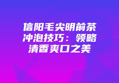 信阳毛尖明前茶冲泡技巧：领略清香爽口之美