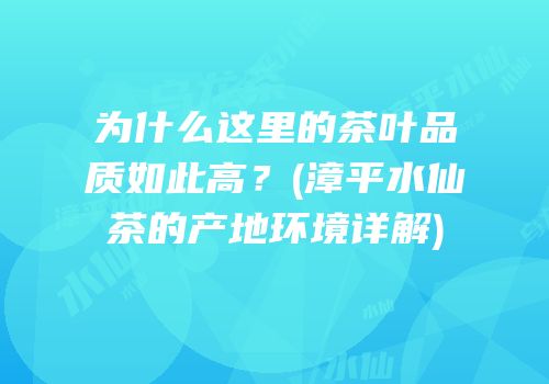 为什么这里的茶叶品质如此高？(漳平水仙茶的产地环境详解)