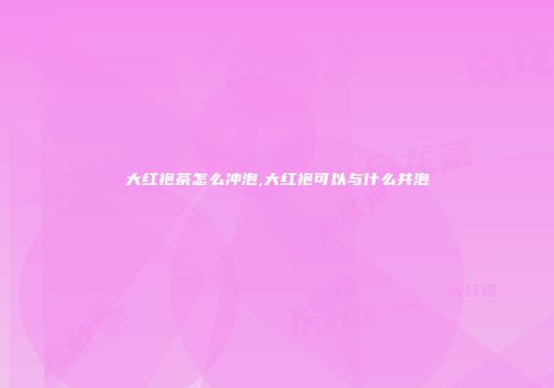 大红袍茶怎么冲泡,大红袍可以与什么共泡