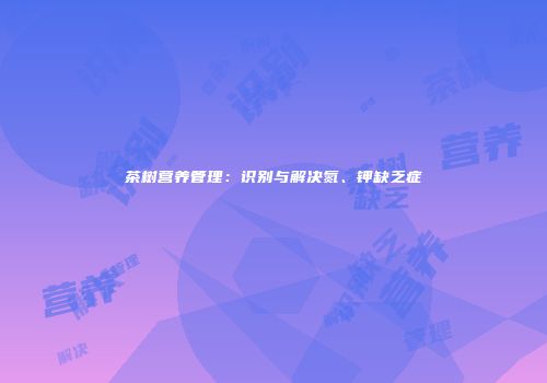 茶树营养管理：识别与解决氮、钾缺乏症