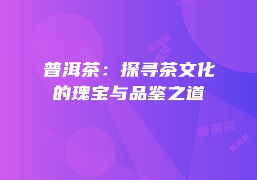 普洱茶：探寻茶文化的瑰宝与品鉴之道