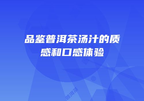 品鉴普洱茶汤汁的质感和口感体验