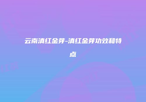云南滇红金芽-滇红金芽功效和特点