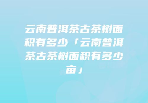 云南普洱茶古茶树面积有多少「云南普洱茶古茶树面积有多少亩」