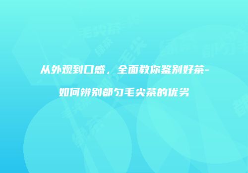 从外观到口感，全面教你鉴别好茶-如何辨别都匀毛尖茶的优劣
