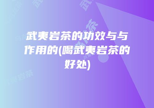 武夷岩茶的功效与与作用的(喝武夷岩茶的好处)