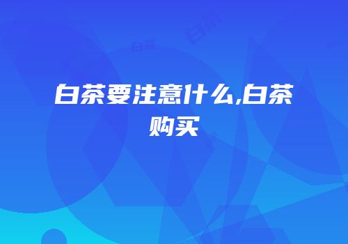 白茶要注意什么,白茶购买
