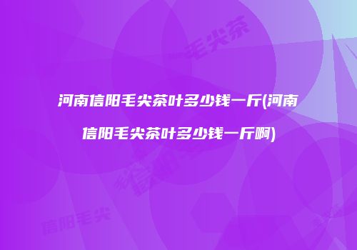 河南信阳毛尖茶叶多少钱一斤(河南信阳毛尖茶叶多少钱一斤啊)