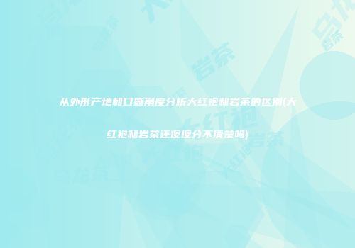 从外形产地和口感角度分析大红袍和岩茶的区别(大红袍和岩茶还傻傻分不清楚吗)