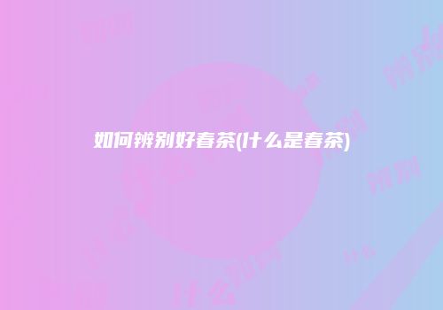 如何辨别好春茶(什么是春茶)