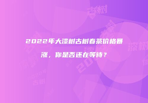 2022年大漆树古树春茶价格暴涨，你是否还在等待？