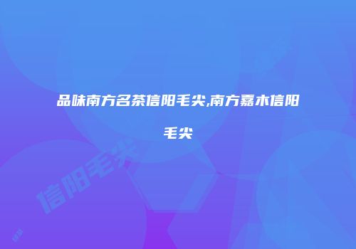 品味南方名茶信阳毛尖,南方嘉木信阳毛尖