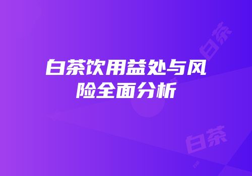 白茶饮用益处与风险全面分析
