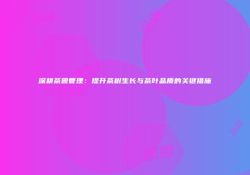 深耕茶园管理：提升茶树生长与茶叶品质的关键措施