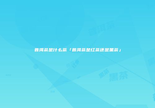 普洱茶是什么茶「普洱茶是红茶还是黑茶」