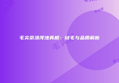 毛尖茶汤浑浊真相：绒毛与品质解析