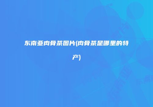 东南亚肉骨茶图片(肉骨茶是哪里的特产)