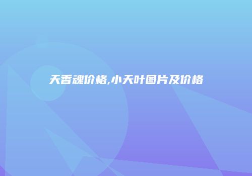 天香魂价格,小天叶图片及价格