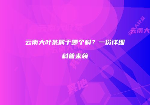 云南大叶茶属于哪个科？一份详细科普来袭
