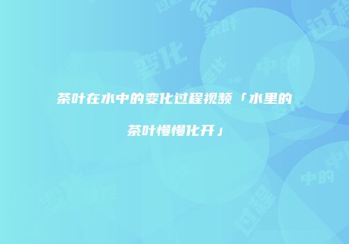 茶叶在水中的变化过程视频「水里的茶叶慢慢化开」