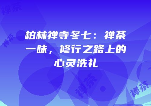 柏林禅寺冬七：禅茶一味，修行之路上的心灵洗礼