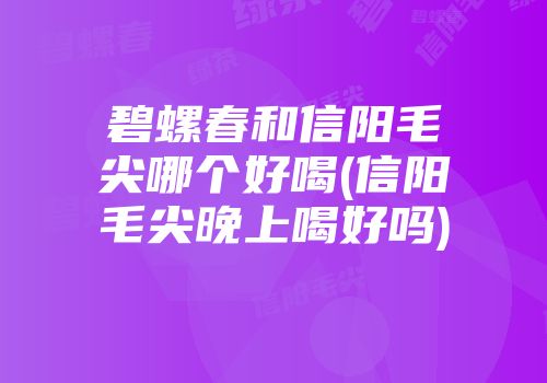 碧螺春和信阳毛尖哪个好喝(信阳毛尖晚上喝好吗)