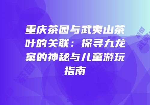 重庆茶园与武夷山茶叶的关联：探寻九龙窠的神秘与儿童游玩指南