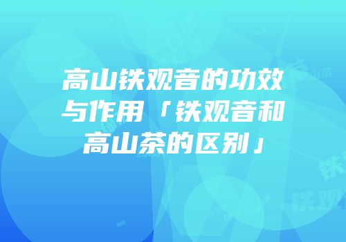 高山铁观音的功效与作用「铁观音和高山茶的区别」
