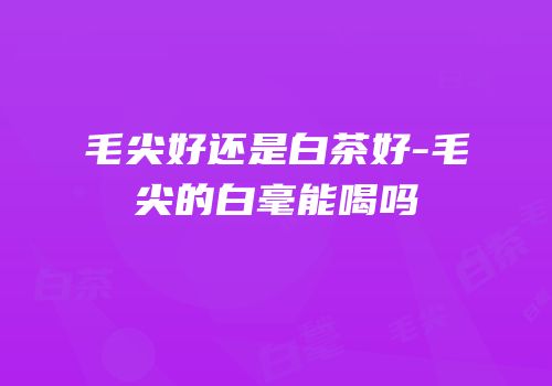 毛尖好还是白茶好-毛尖的白毫能喝吗