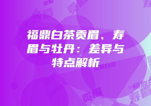 福鼎白茶贡眉、寿眉与牡丹：差异与特点解析