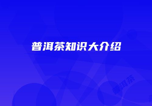 普洱茶知识大介绍