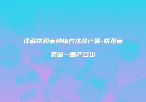 详解铁观音种植方法及产量-铁观音茶园一亩产多少