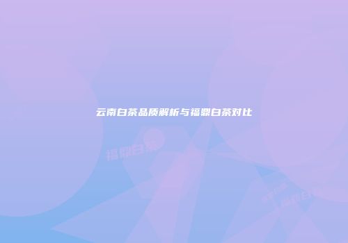 云南白茶品质解析与福鼎白茶对比
