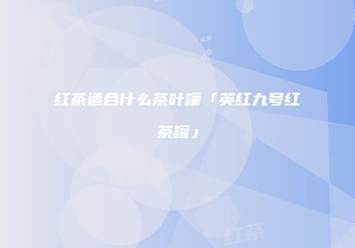 红茶适合什么茶叶罐「英红九号红茶罐」