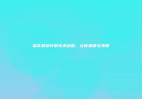 菊花和茶叶的完美搭配，让你健康又美丽
