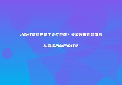 小种红茶热还是工夫红茶热？专家告诉你如何选购最适合自己的红茶