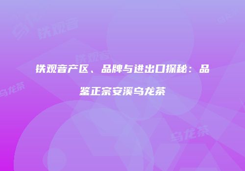 铁观音产区、品牌与进出口探秘：品鉴正宗安溪乌龙茶