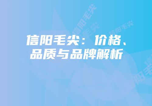 信阳毛尖：价格、品质与品牌解析