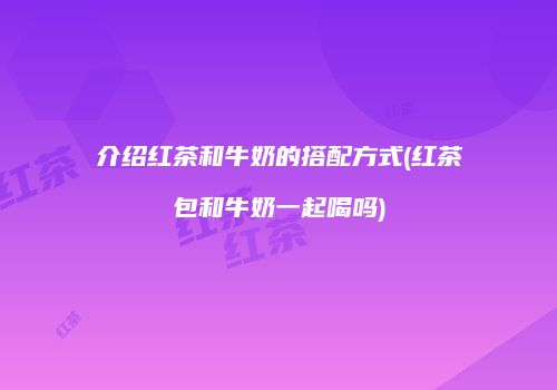 介绍红茶和牛奶的搭配方式(红茶包和牛奶一起喝吗)