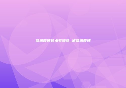 茶园管理技术有哪些_抓茶园管理