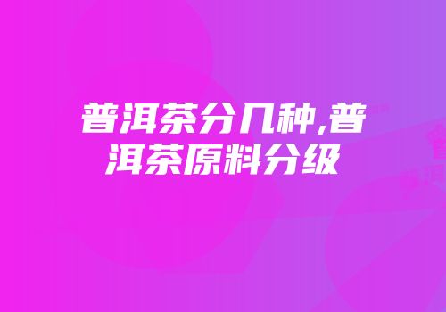 普洱茶分几种,普洱茶原料分级