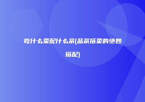 吃什么菜配什么茶(品茶搭菜的绝妙搭配)