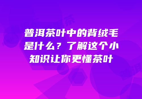 普洱茶叶中的背绒毛是什么？了解这个小知识让你更懂茶叶