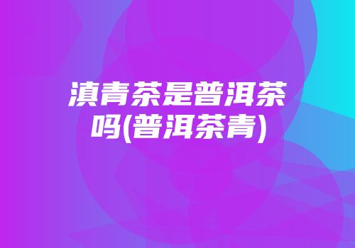 滇青茶是普洱茶吗(普洱茶青)