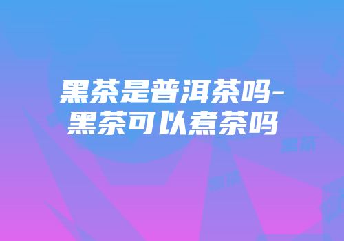 黑茶是普洱茶吗-黑茶可以煮茶吗