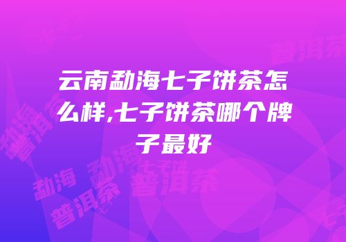 云南勐海七子饼茶怎么样,七子饼茶哪个牌子最好