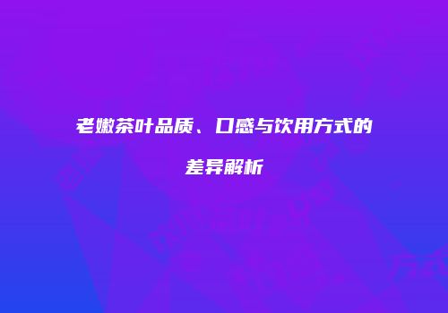 老嫩茶叶品质、口感与饮用方式的差异解析